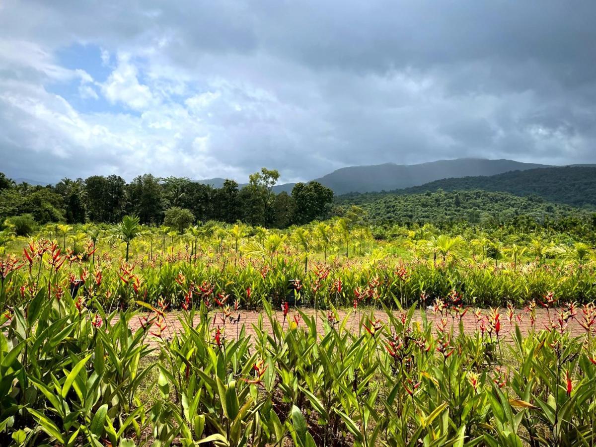 Vichondrem The Postcard Hideaway, Netravali Wildlife Sanctuary, Goa酒店 外观 照片