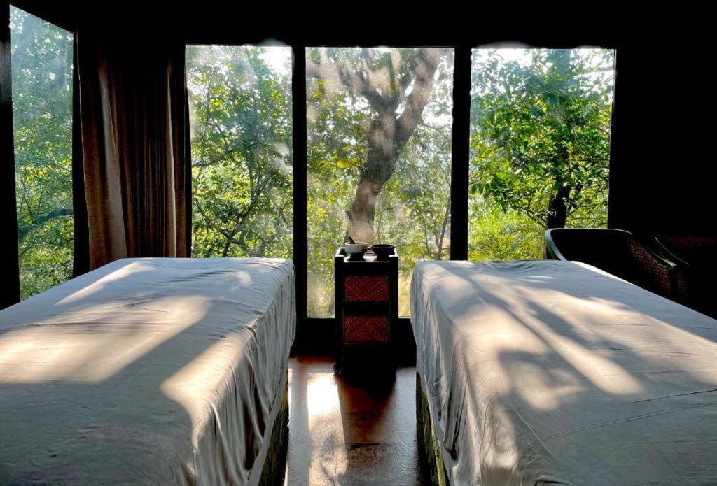 Vichondrem The Postcard Hideaway, Netravali Wildlife Sanctuary, Goa酒店 外观 照片